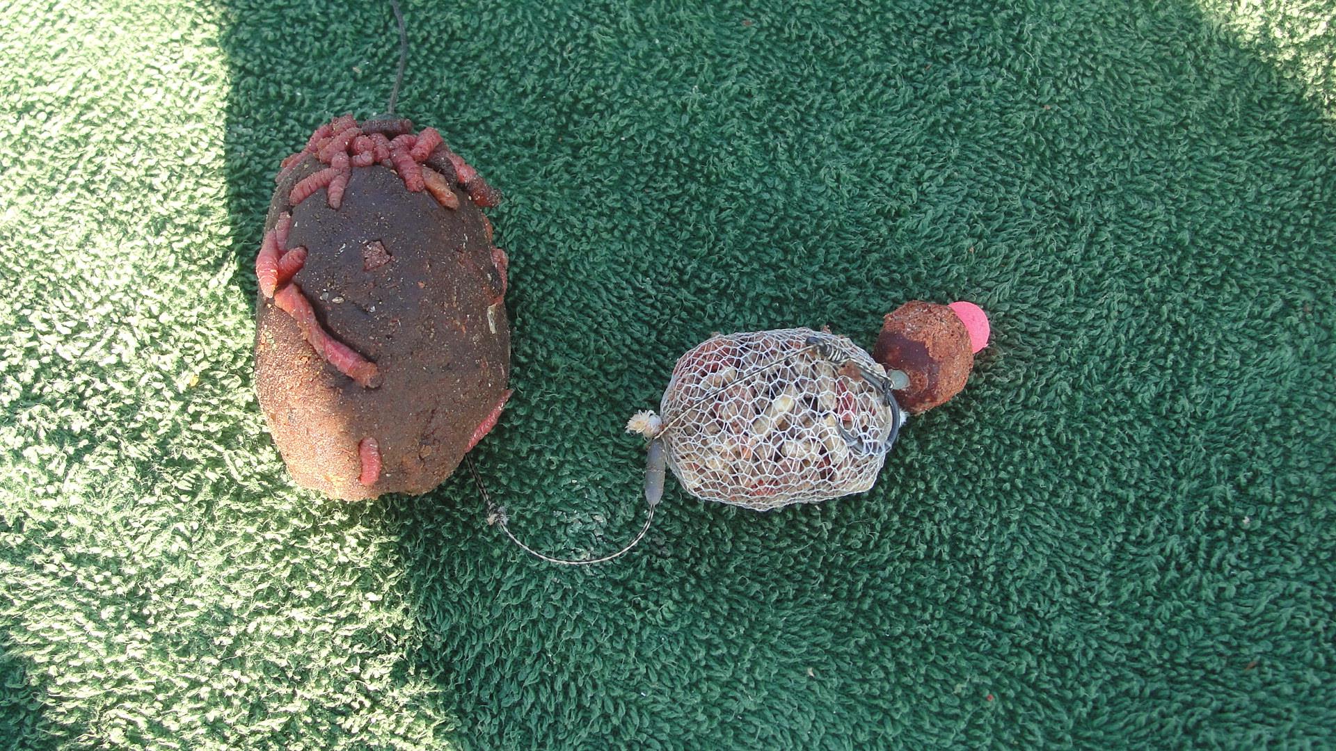 Floarea Popestiului 11 - 11 ian. - moshmoade